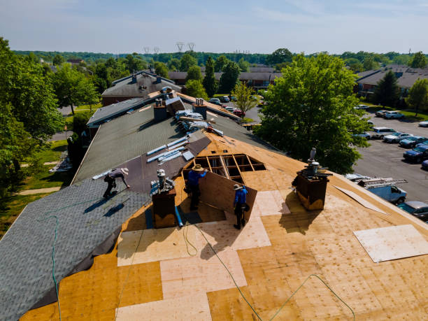 24/7 Emergency Roof Repair experts in Newbern, TN